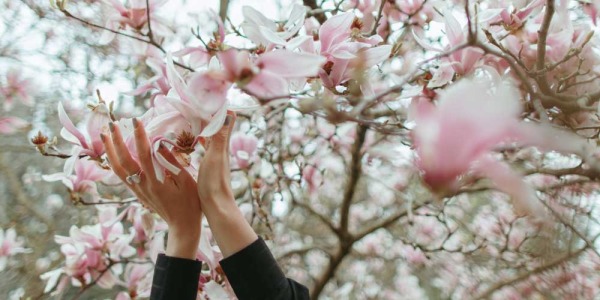 Nuove profumazioni in casa Emò Italia… Magnolia e Colonia