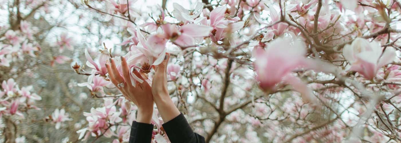 Nuove profumazioni in casa Emò Italia… Magnolia e Colonia